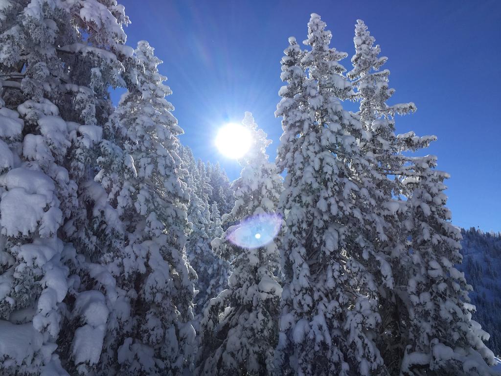 Das Alpbach Juwel Exterior foto